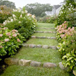 Landscape Design